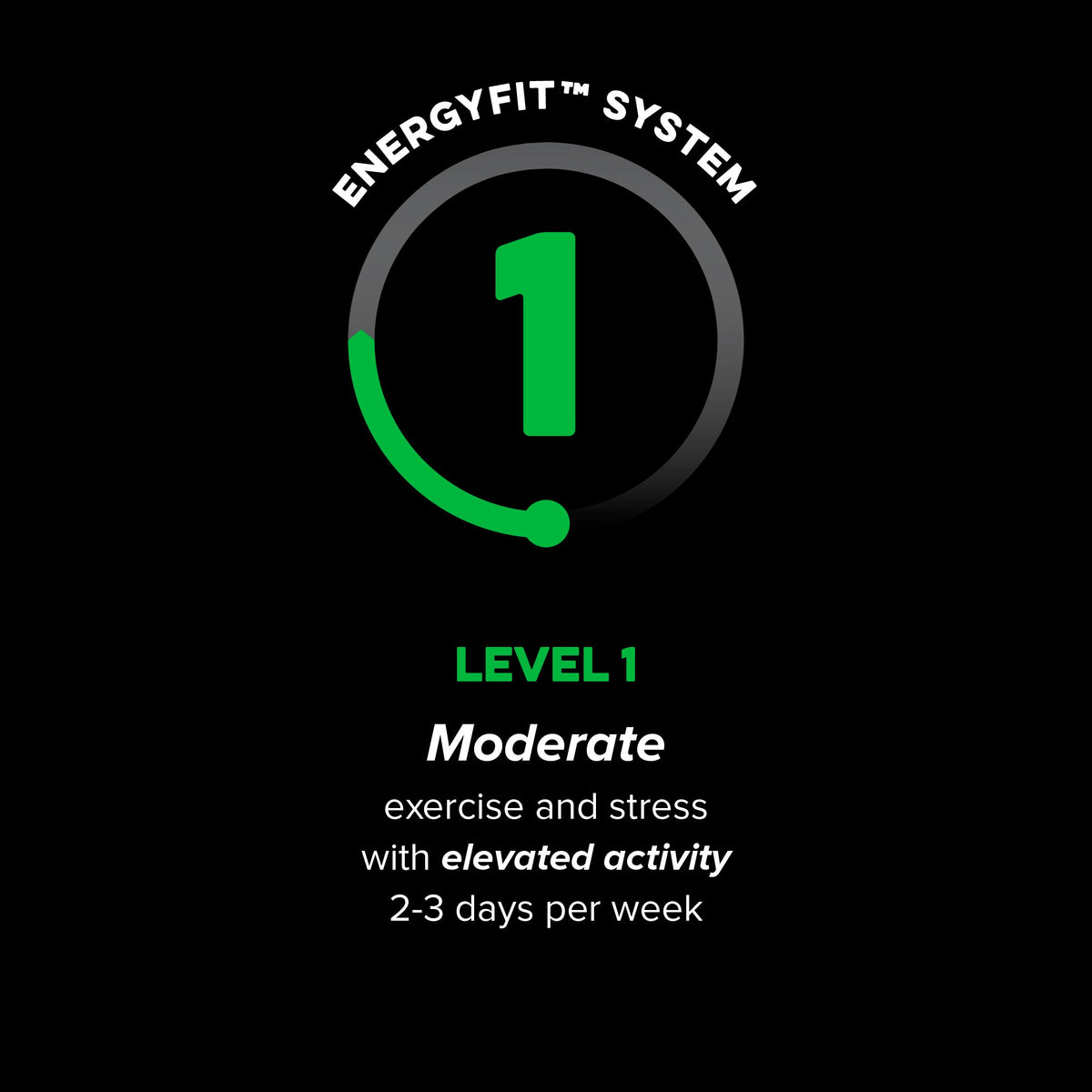 Active Level 1 EnergyFit System activity level