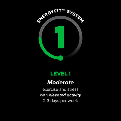 Active Level 1 EnergyFit System activity level