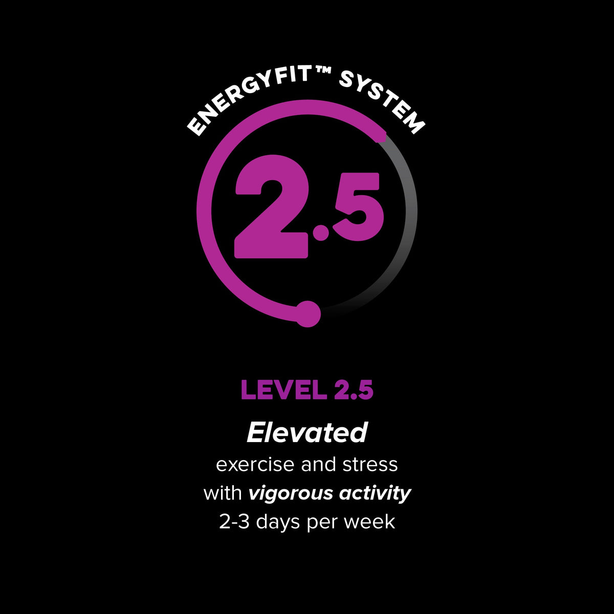 Active Level 2.5 EnergyFit System activity level