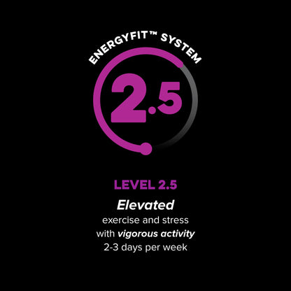 Active Level 2.5 EnergyFit System activity level