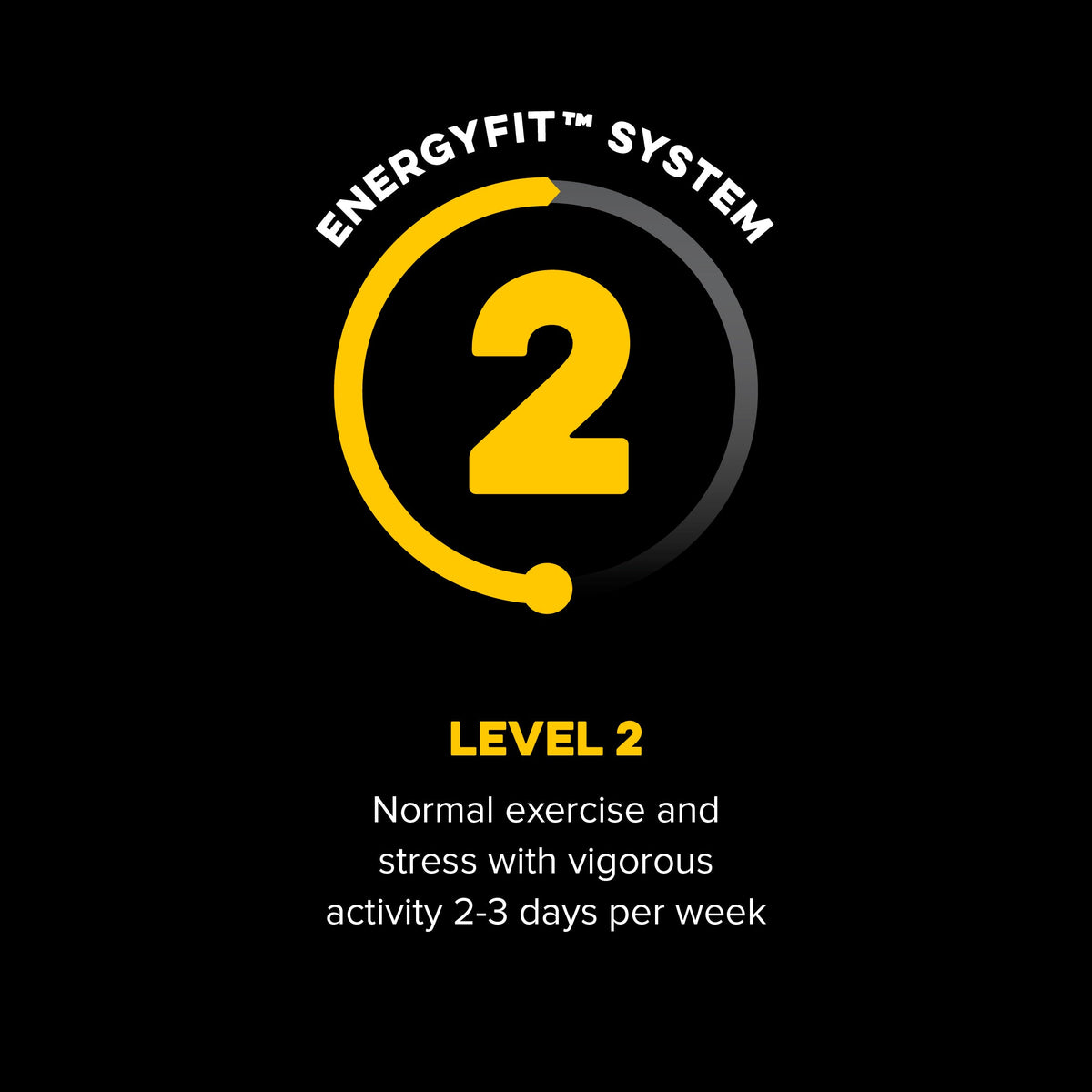 Active Level 2 EnergyFit System activity level
