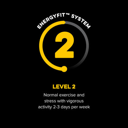 Active Level 2 EnergyFit System activity level