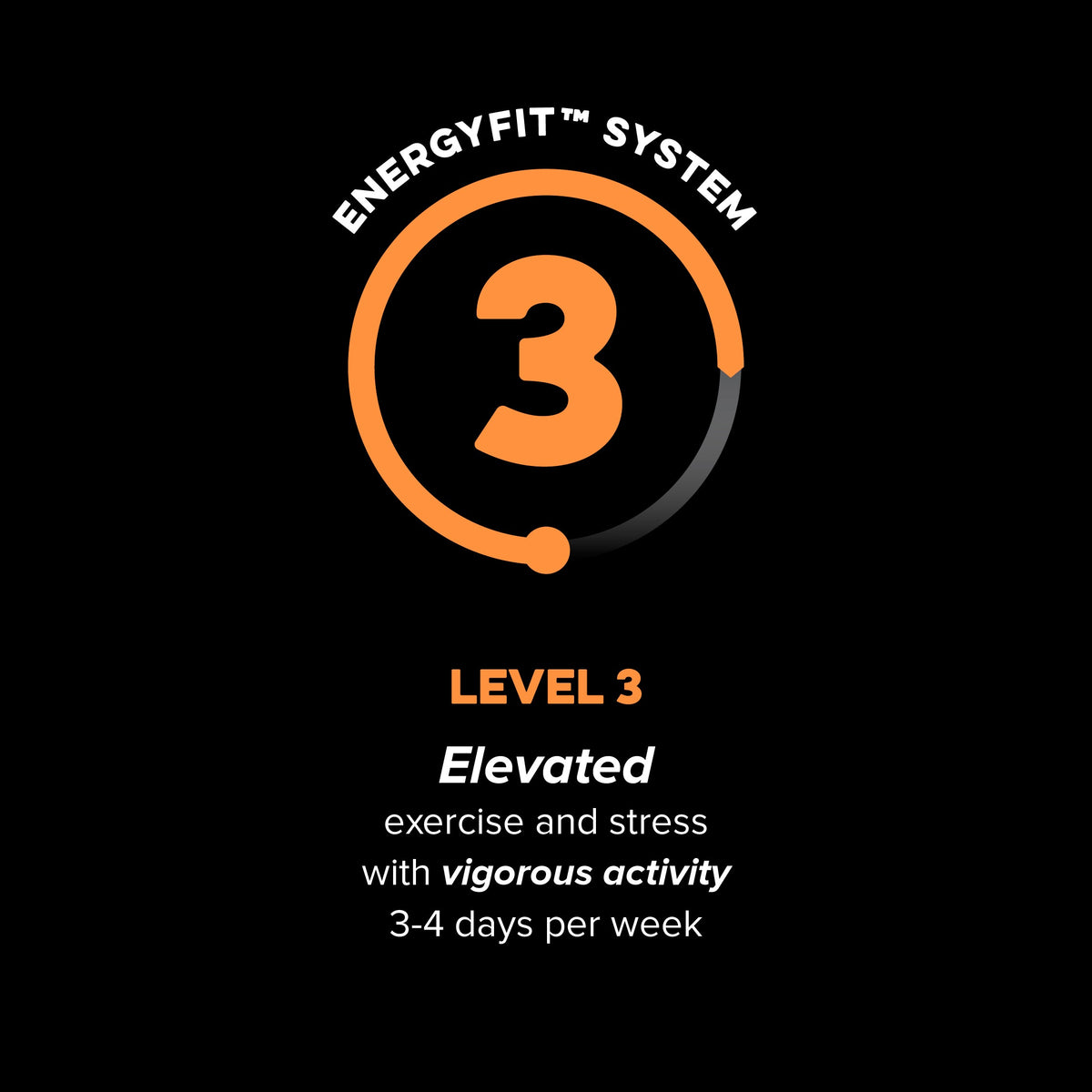Active Level 3 EnergyFit System activity level