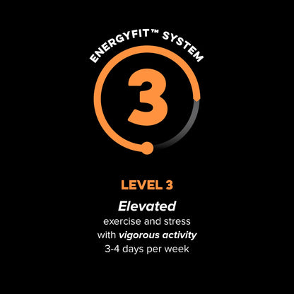 Active Level 3 EnergyFit System activity level