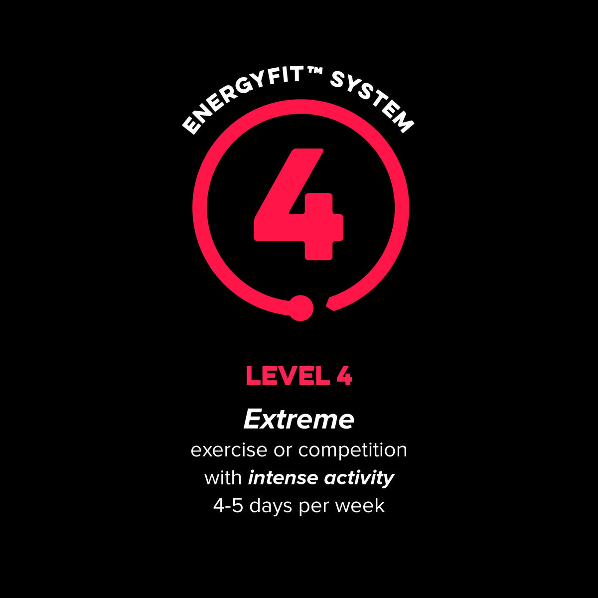 Active Level 4 EnergyFit System activity level