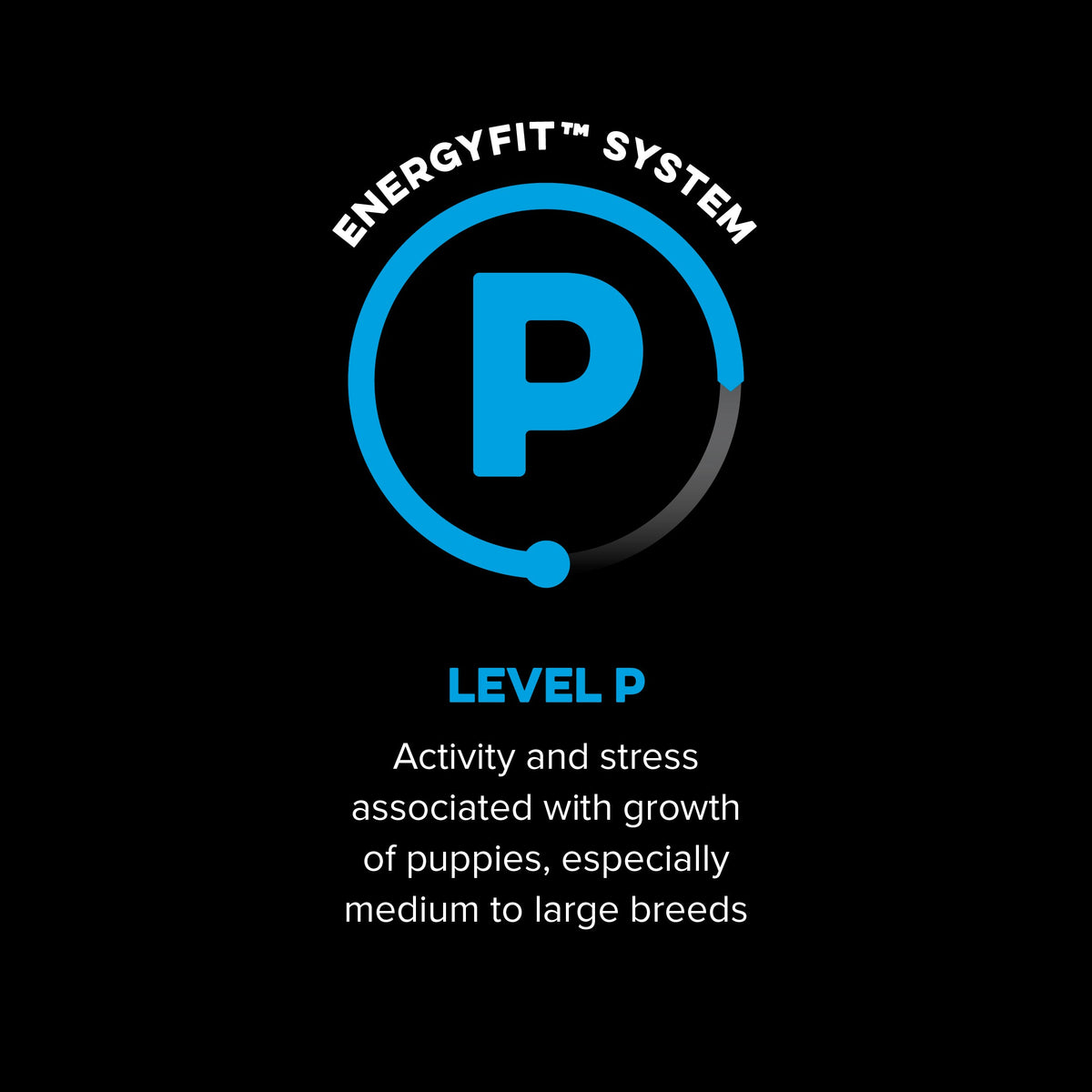 Active Puppy EnergyFit System activity level