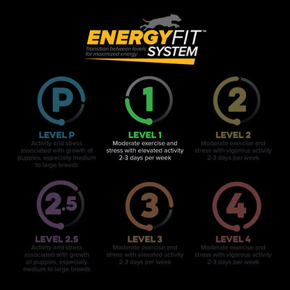 EnergyFit System levels P, 1, 2, 2.5, 3 and 4