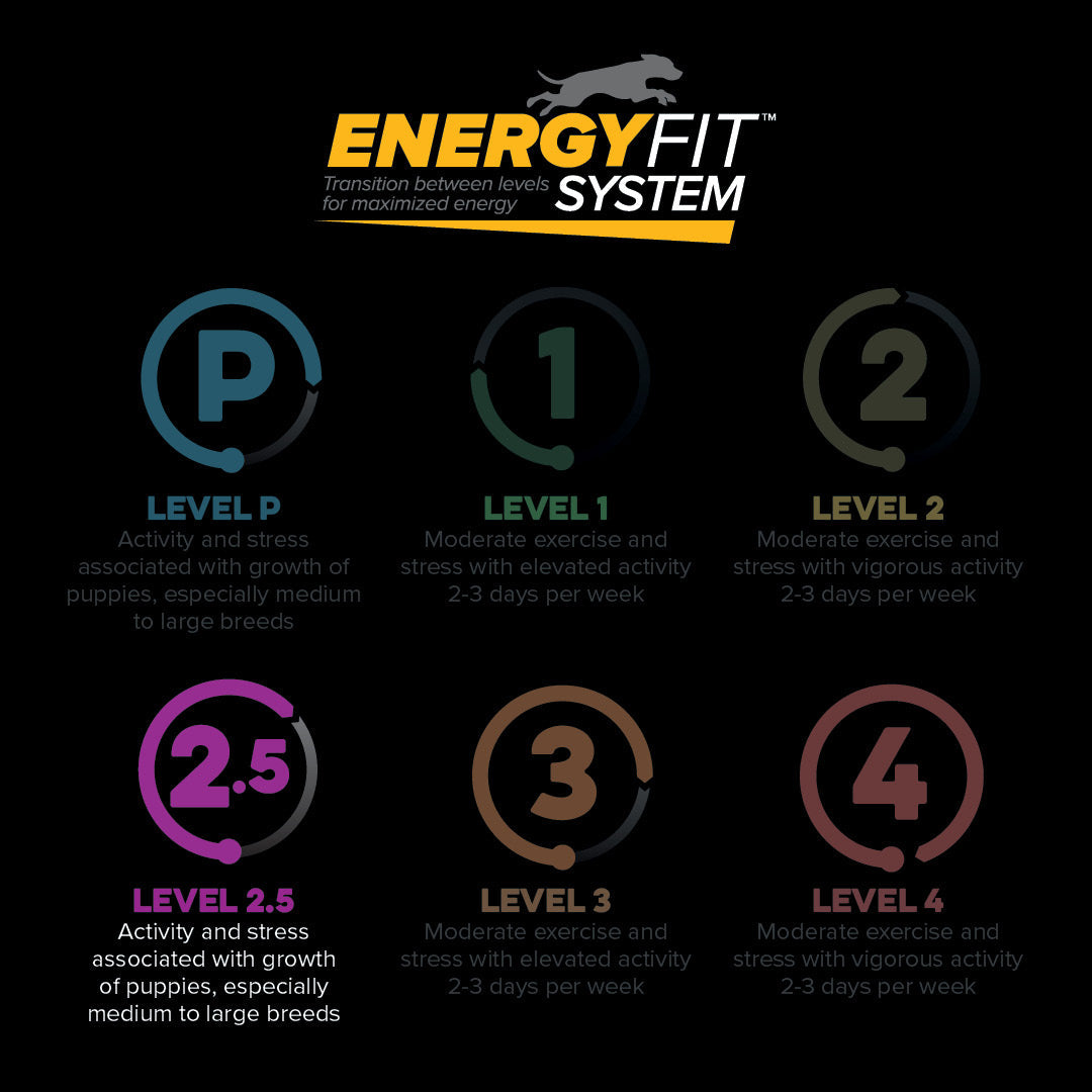 EnergyFit System levels P, 1, 2, 2.5, 3 and 4
