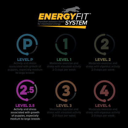 EnergyFit System levels P, 1, 2, 2.5, 3 and 4