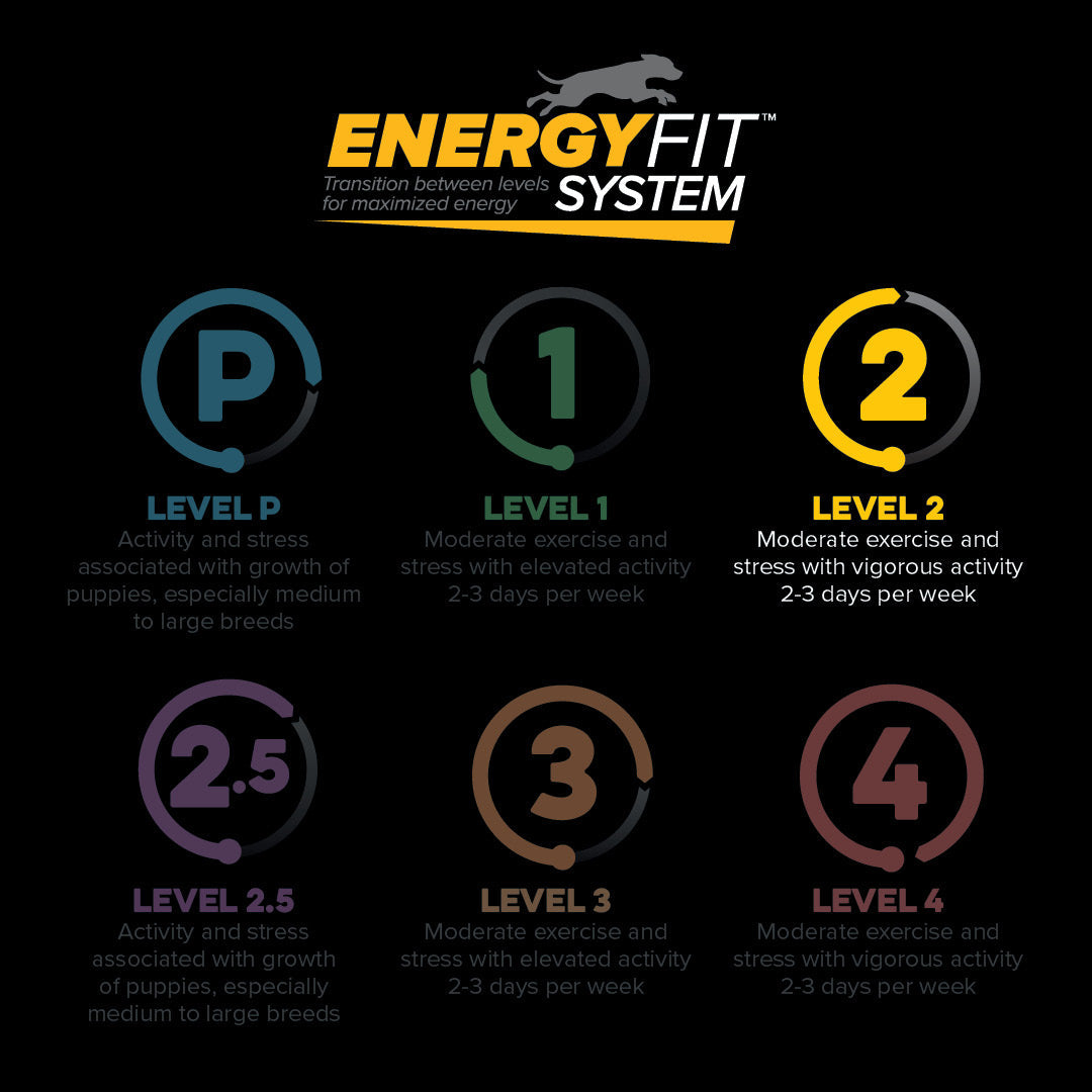 EnergyFit System levels P, 1, 2, 2.5, 3 and 4