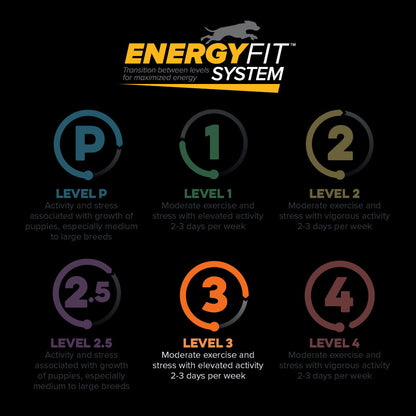 EnergyFit System levels P, 1, 2, 2.5, 3 and 4