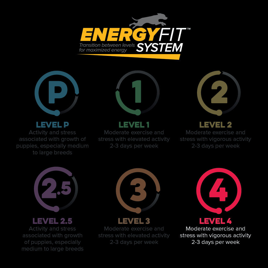 EnergyFit System levels P, 1, 2, 2.5, 3 and 4