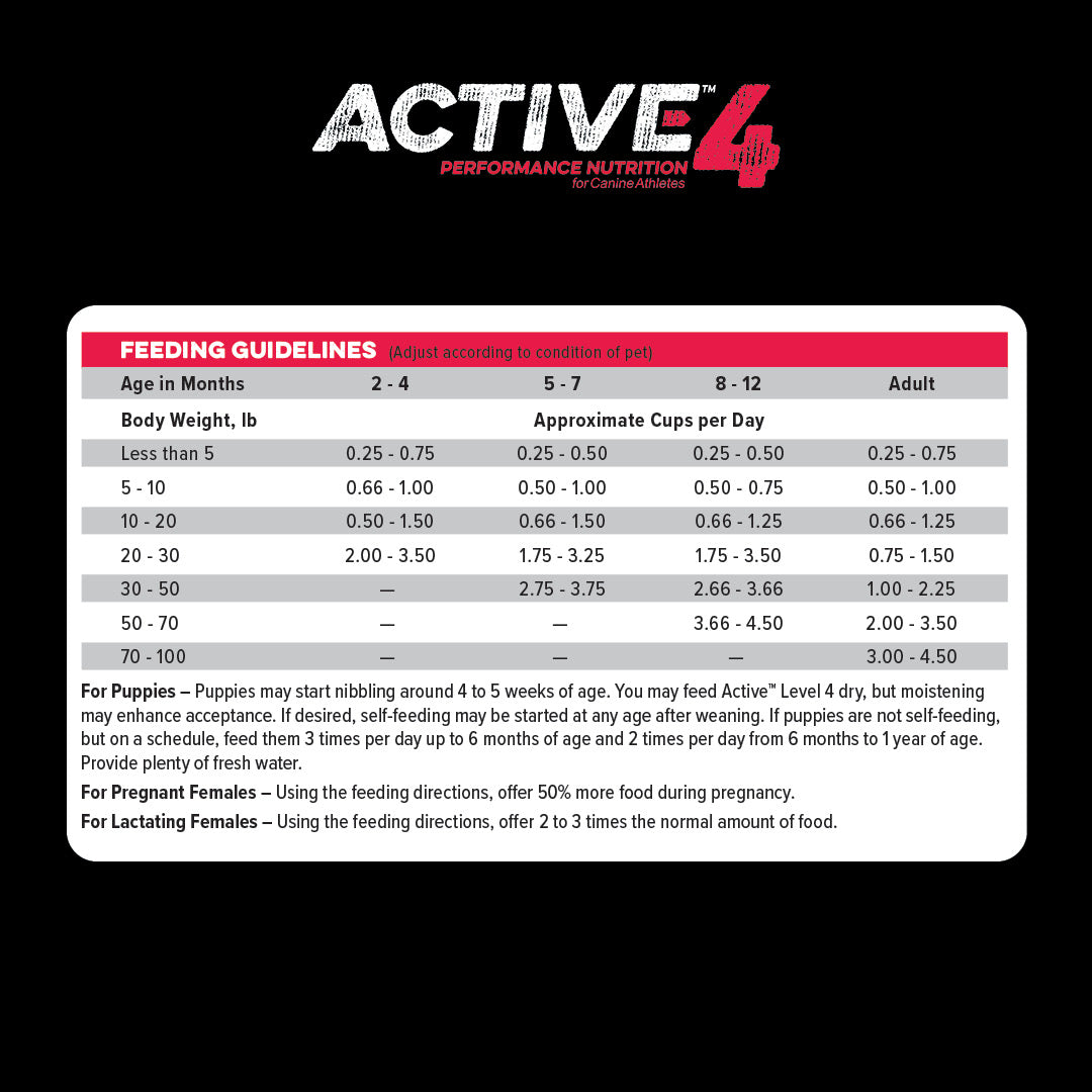 Active Level 4 feeding guidelines chart