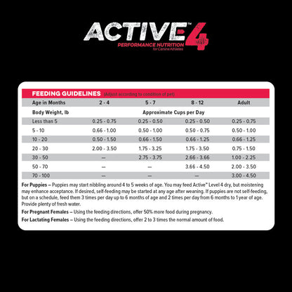 Active Level 4 feeding guidelines chart