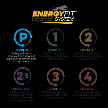 EnergyFit System levels P, 1, 2, 2.5, 3 and 4